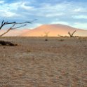 NAM HAR Dune45 2016NOV21 070 : 2016 - African Adventures, Hardap, Namibia, Southern, Africa, Dune 45, 2016, November